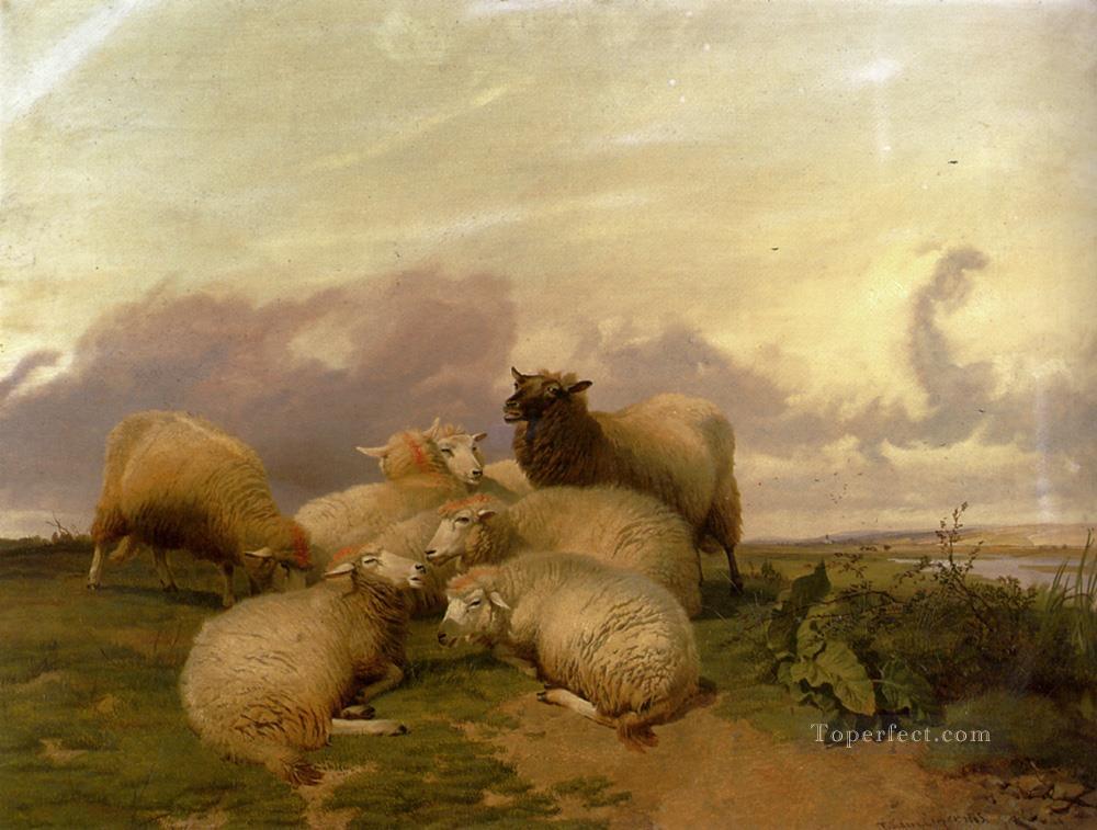カンタベリー ウォーター メドウズの羊 家畜 トーマス シドニー クーパー油絵